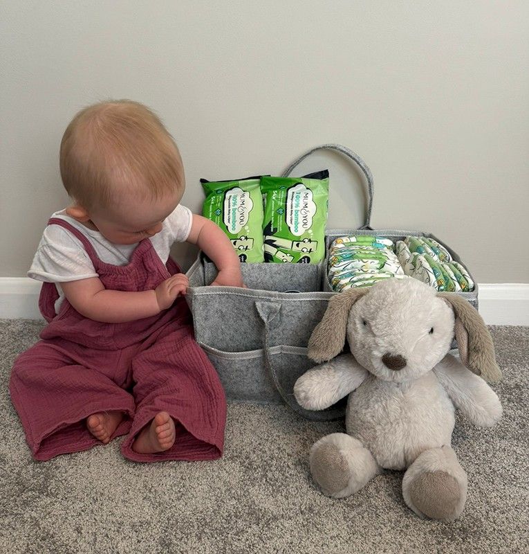 Bamboo Wipes 12 Pack