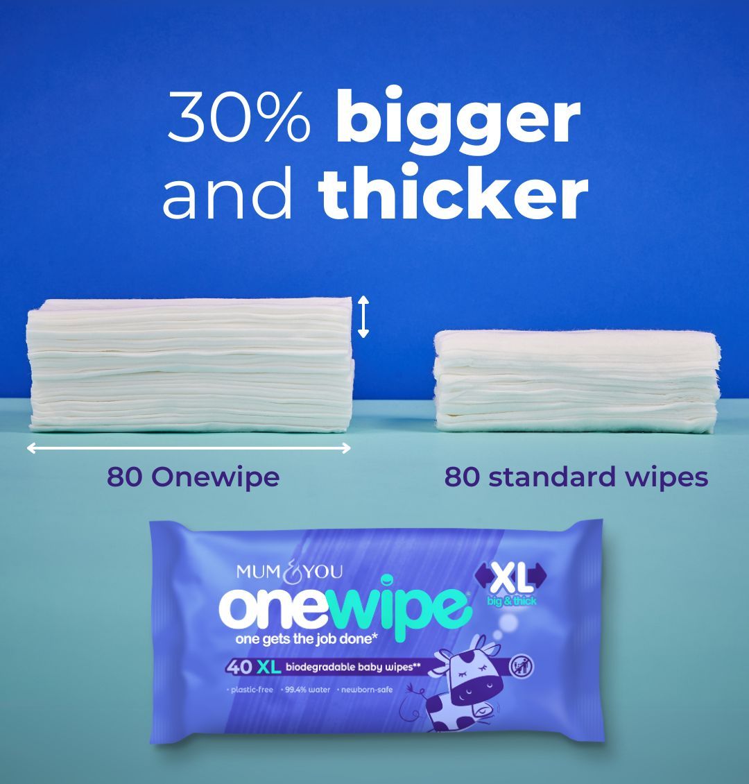 Onewipe 10 Pack