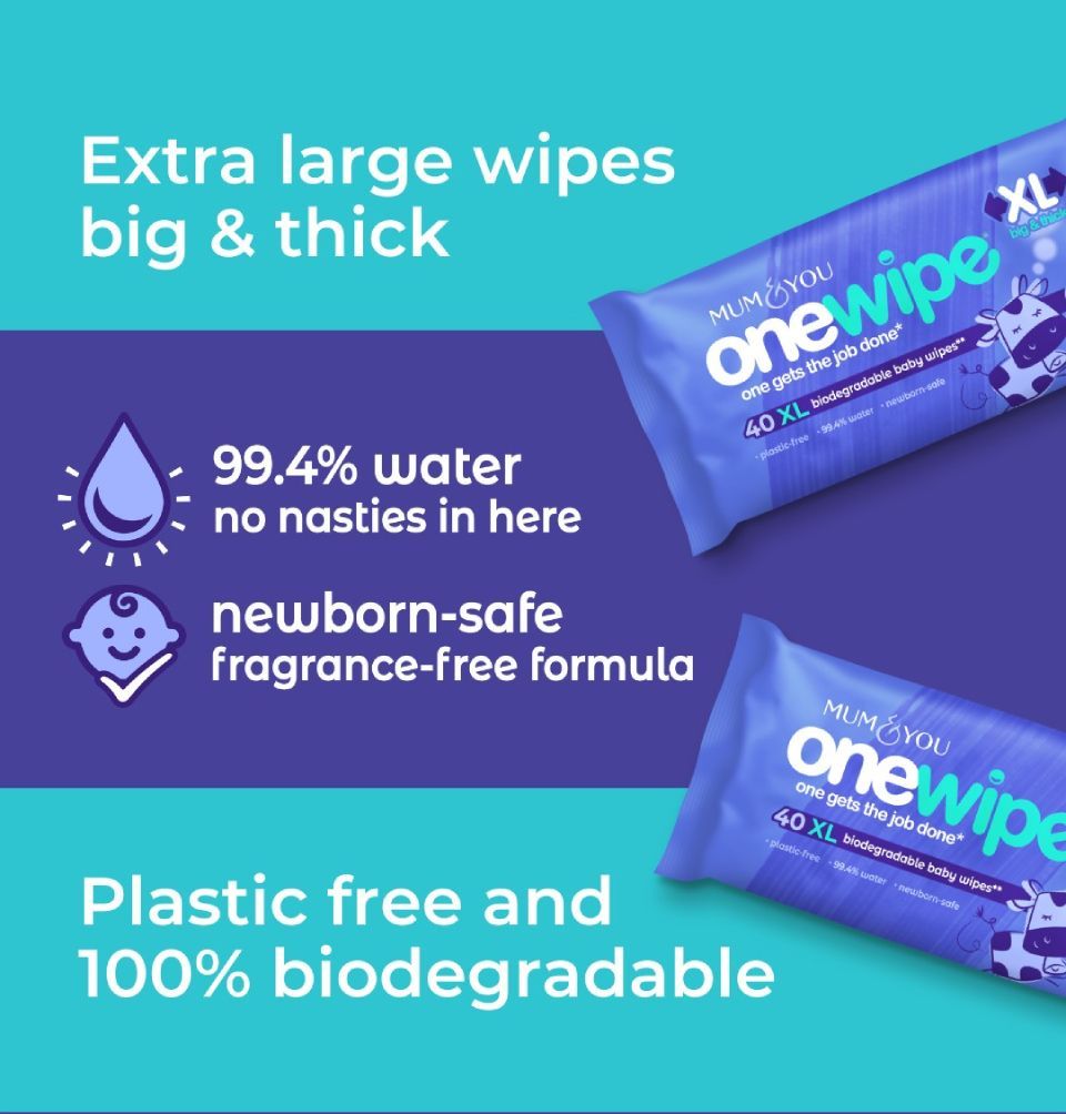 Onewipe 4 Pack