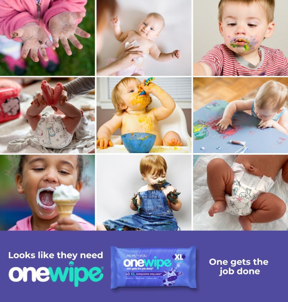 Onewipe 4 Pack